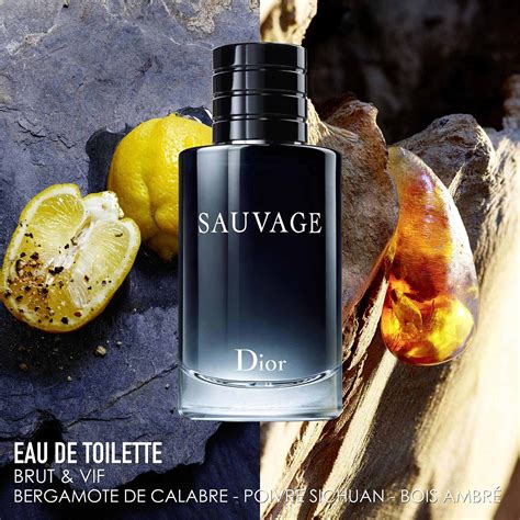 dior sauvage eau toilette|dior sauvage edp notes.